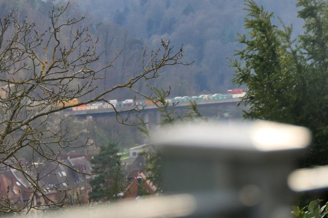 p1060598easy fotok.jpg